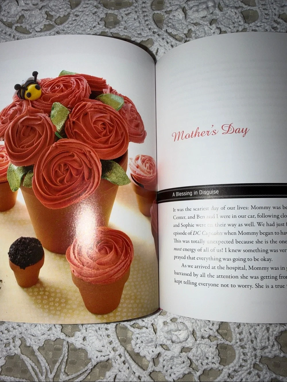 Sweet Celebrations Cookbook - Cupcake Party Ideas from DC Cupcakes on TLC
